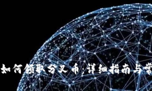 以太坊钱包如何领取分叉币：详细指南与常见问题解答