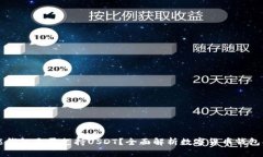 钱能钱包是否支持USDT？全