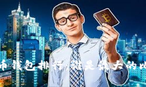 2023年比特币钱包排行：谁是最大的比特币持有者？