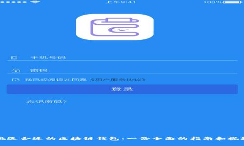 怎样挑选合适的区块链钱包：一份全面的指南和视频教学