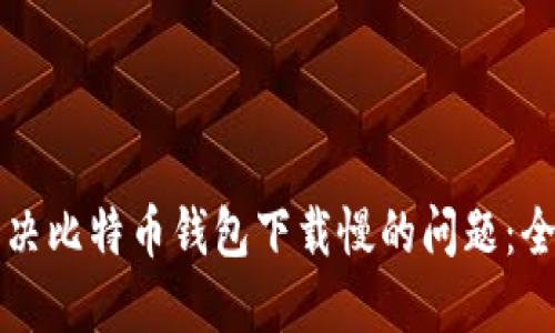 如何解决比特币钱包下载慢的问题：全面指南