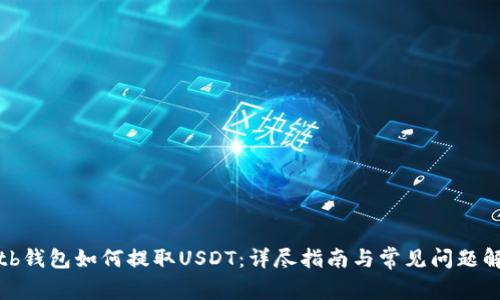 : tb钱包如何提取USDT：详尽指南与常见问题解析