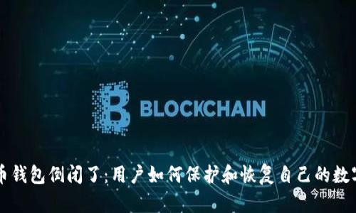 比特币钱包倒闭了：用户如何保护和恢复自己的数字资产