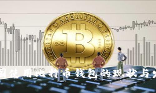 中国使用比特币钱包的现状与发展