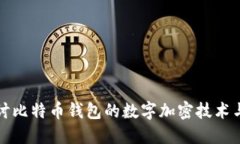 深入探讨比特币钱包的数
