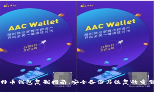 比特币钱包复制指南：安全备份与恢复的重要性