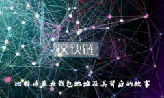 比特币最大钱包地址及其