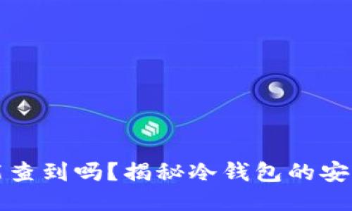 比特币冷钱包能查到吗？揭秘冷钱包的安全性与隐私保护