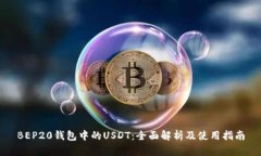 BEP20钱包中的USDT：全面解