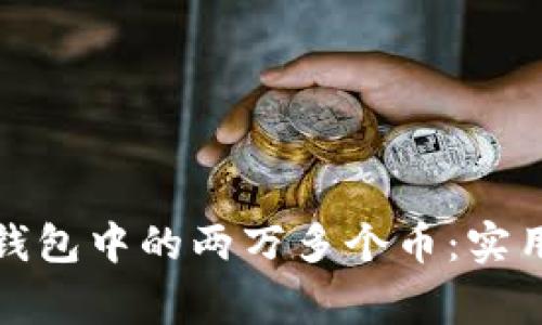 如何管理以太坊钱包中的两万多个币：实用指南与注意事项