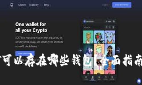 : USDT可以存在哪些钱包？全面指南与推荐