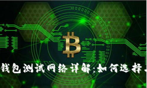 USDT钱包测试网络详解：如何选择与使用