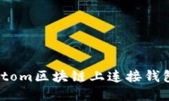如何在Fantom区块链上连接