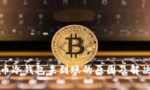 比特币冷钱包未到账的原因及解决方案