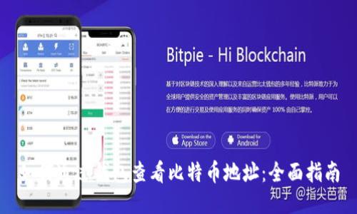 如何通过钱包查看比特币地址：全面指南