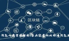 比特币钱包内存需求解析：多大容量的比特币钱