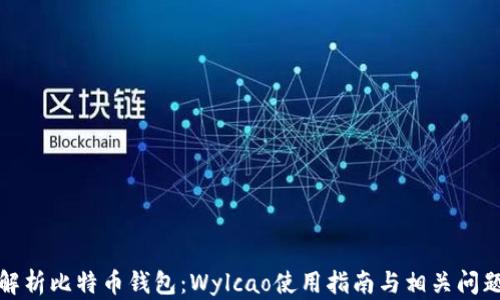 
全面解析比特币钱包：Wylcao使用指南与相关问题解答