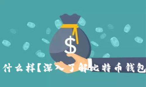 比特币钱包长什么样？深入了解比特币钱包的种类与功能