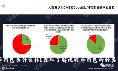比特币钱包长什么样？深入了解比特币钱包的种类与功能