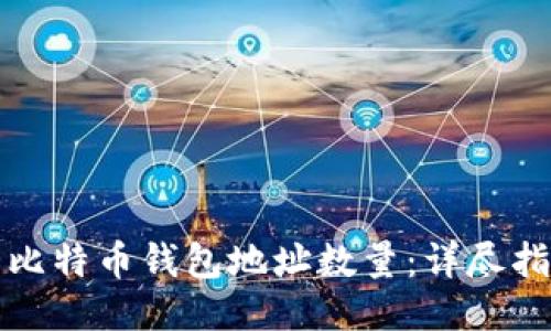 如何查看比特币钱包地址数量：详尽指南与技巧