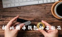全面解析：比特币钱包的