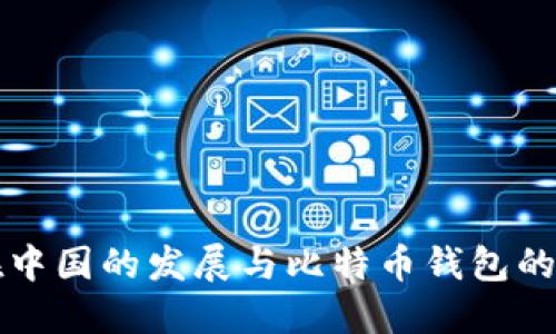 比特币在中国的发展与比特币钱包的选择指南