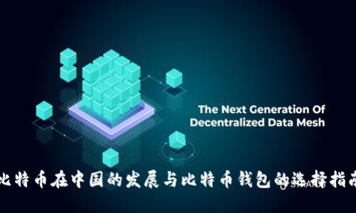 比特币在中国的发展与比特币钱包的选择指南