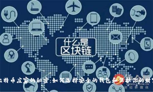 比特币庄家的秘密：如何选择安全的钱包和保护你的财富