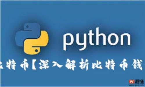 钱包可以存放多少比特币？深入解析比特币钱包的存储机制与容量