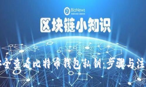 如何安全查看比特币钱包私钥：步骤与注意事项