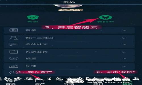 虚拟币钱包密码忘了怎么办？全面指南与解决方案
