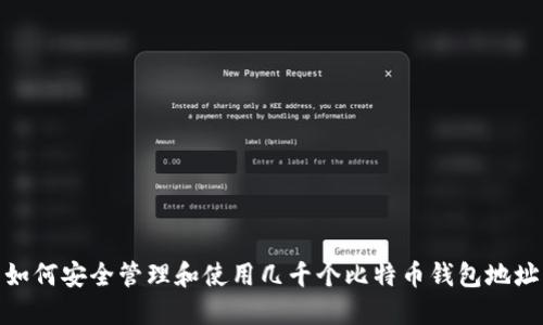 如何安全管理和使用几千个比特币钱包地址