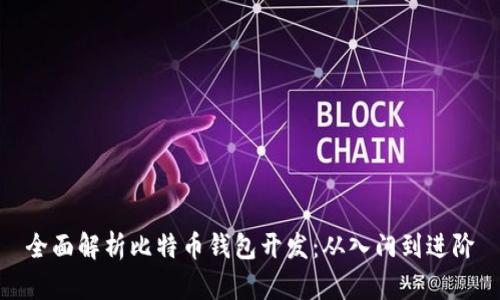全面解析比特币钱包开发：从入门到进阶