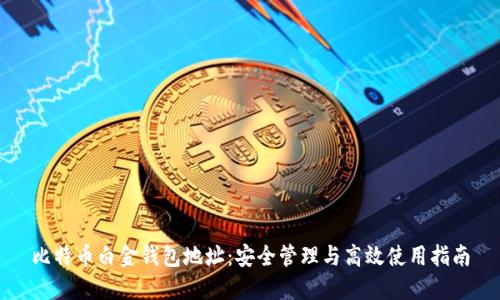 比特币白金钱包地址：安全管理与高效使用指南