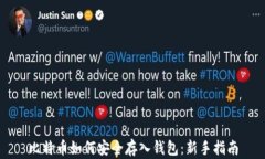 比特币如何安全存入钱包