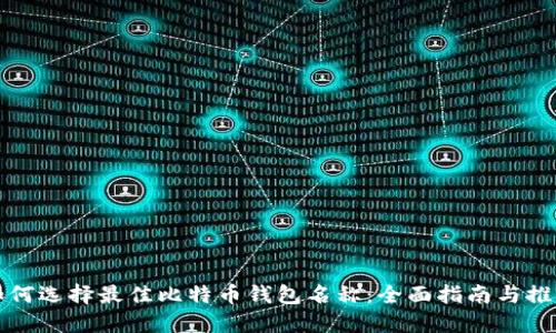 如何选择最佳比特币钱包名称：全面指南与推荐