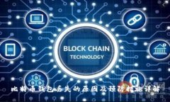 比特币钱包丢失的原因及