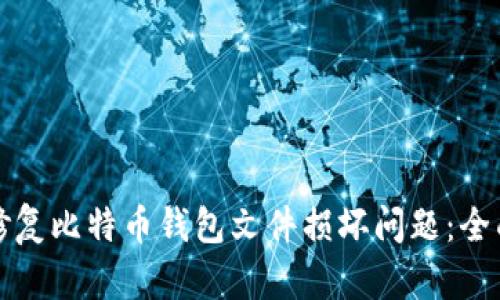 如何修复比特币钱包文件损坏问题：全面指南