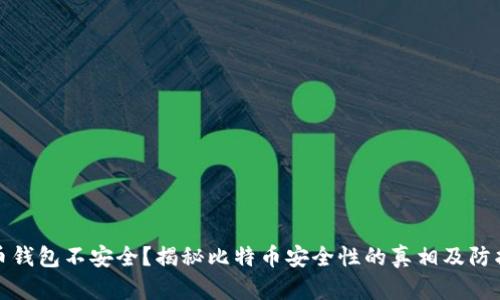 比特币钱包不安全？揭秘比特币安全性的真相及防护措施