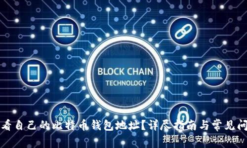 如何查看自己的比特币钱包地址？详尽指南与常见问题解答