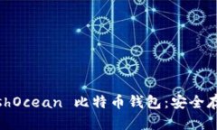 全面解析 HashOcean 比特币钱