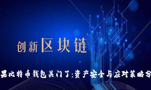 如果比特币钱包关门了：资产安全与应对策略分析