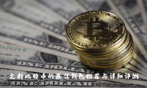 支持比特币的最佳钱包推荐与详细评测