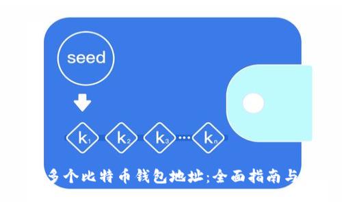 如何管理多个比特币钱包地址：全面指南与最佳实践